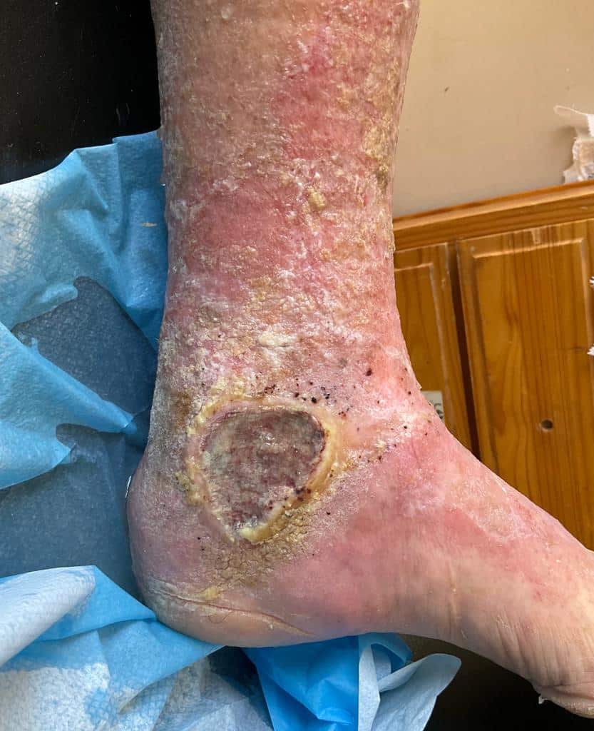 WhatsApp Image 2022-12-09 at 14.20.27