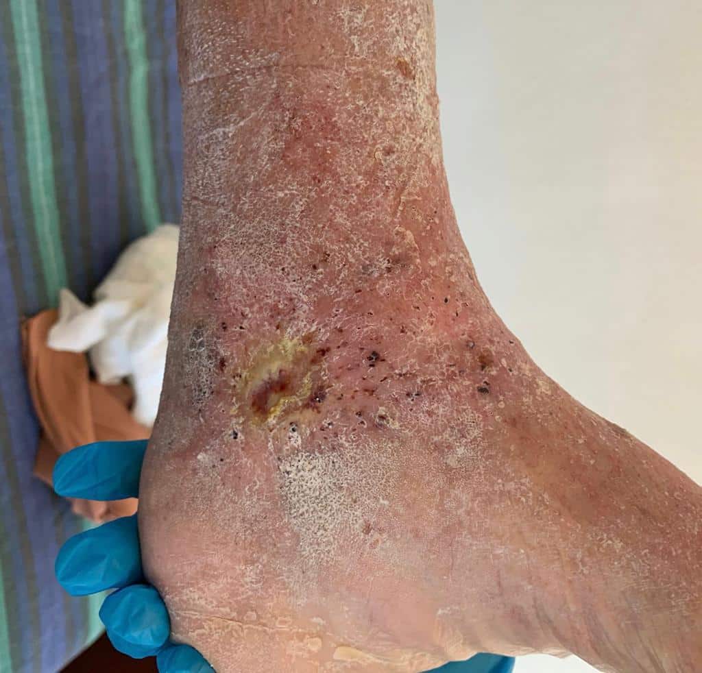 WhatsApp Image 2022-12-09 at 14.21.13